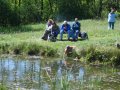 Der Teich am Tretbecken