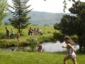 um den Teich am Tretbecken (1. Mai 2009)