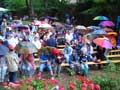 noch hoffen die Zuschauer, dass der Regen aufh&ouml;rt und die Vorstellung beginnen kann (22.7.06)